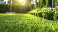 a green lawn with flowers and shrubs in the background